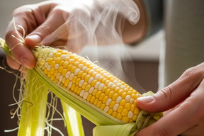 とれたて🌽 甘さに恋するスイーツコーン【島原ドルチェ】｜10本 #とうもろこし