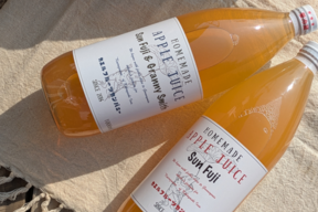 【母の日ギフト】【小布施直送】完熟「葉とらず」の底力！濃厚サンふじ＆爽快MIX 飲み比べセット
