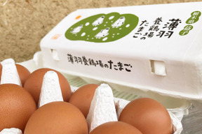 【納豆菌の仲間、『枯草菌』で育てた鶏の卵】陶芸の里、益子でうまれた赤たまご 30個
