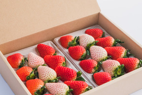 紅白いちご３品種食べ比べセット　240g×2p　【冬ギフト】