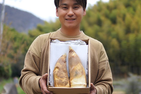 超希少！糠要らず白子タケノコ【こんぴらタケノコ1.5kg】朝堀り即発送！