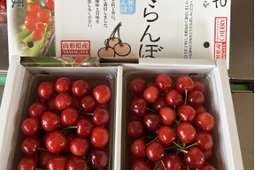 予約商品　さくらんぼ山形県産、紅秀峰！バラ1キロ