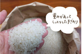 油かす施肥 好食味のコシヒカリ ニコニコ米 精米10 2 滋賀県産の米 穀類 食べチョク 産地直送 産直 お取り寄せ通販 農家 漁師から旬の食材を直送