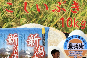 新米　令和7年産　新潟県産　こしいぶき  無洗米  10キロ　お米　(musennmai-kosiibuki10kg)