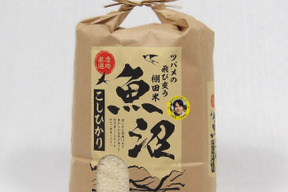 受賞多数！［R7年産］魚沼産コシヒカリ ツバメの飛び交う棚田米 精米5Kg