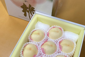 🍑おかやまの白桃　贈答用　中箱【6〜12玉】【予約販売】