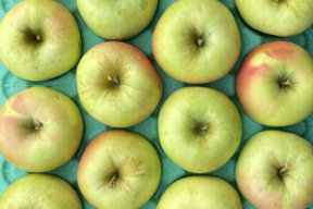 【販売開始！】青森県産りんご「ぐんま名月」家庭用 キズ有 約5kg 【光センサー選果・高リピート率】