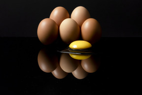 のびのび平飼い『いのちのたまご』10個入り×4パック