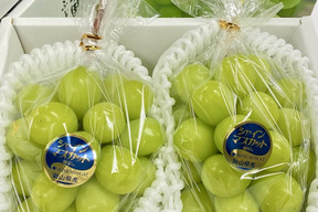 【厳選】岡山県産シャインマスカット【贈答用】　約750g×2房入り【夏ギフト】