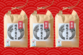 【福袋】３品種食べ比べセット！令和7年産新米【玄米2kg×3袋】特別栽培米！1750年から続くお米農家が作った『縁起の竜王米』　滋賀県竜王町産 お米