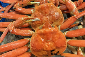 【再入荷！限定10セット！早いもの勝ち！】松葉ガニ300g〜450gまで　4杯入