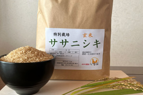令和8年産【新米予約】 ササニシキ玄米２kg～農薬・化学肥料不使用