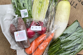 元氣な野菜＊MEGLIY金沢の彩り旬野菜セット(8〜10品)【農薬不使用】