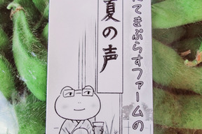 風味豊かで甘い茶豆の枝豆『夏の声』1kg