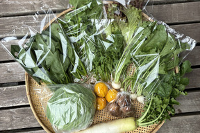 【福袋】椎茸と冬野菜ＢＯＸ　シイタケ2袋＋冬野菜6品目＜おまけつき＞【冬ギフト】