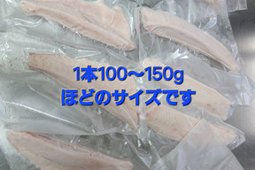 【福袋】クロマグロの
子供ヨコの柵10本セット
