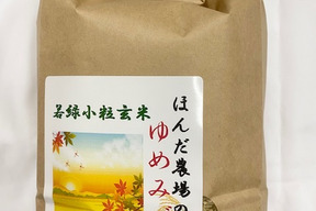 若玄米 緑玄米 令和6年産 ゆめみづほ 2kg