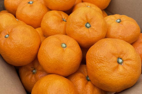 清水のみかん（青島温州みかん）優秀品(贈答用にも)　5㎏ S～3Lサイズ