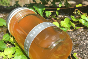 【夏ギフト】【天然日本蜜蜂の非加熱の生蜂蜜】　　たれ蜜/100g   ※本物志向の御客様専門
　　　　　満足度★★★★⭐︎
　　　　　※3本ご注文で4本目無料サービス中🎁