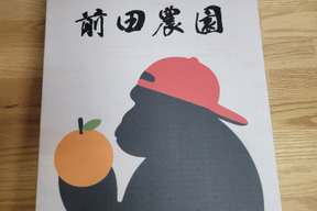 【ゲン担ぎ福袋】贈答用ゴリラバージョン【特別栽培】和歌山県産　(特選)八朔(8個入り)