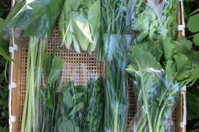 【お試し】鴨さんの旬を届ける野菜セット8種類程度