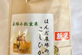 令和6年産 若玄米 緑玄米 コシヒカリ 2kg