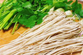 【レビューで100g増量】根っこが主役！湯沢市産『三関せり』500g　
※レビュー記載されていただける方は注文画面の特記事項
に『レビューあり』とご記載ください。