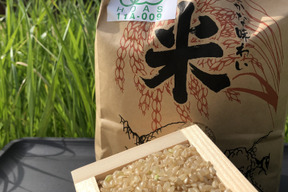 【新米】令和7年度★★こだわり抜いて育てた有機米　”木魂米”（きぬむすめ玄米5キロ）