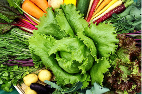 季節のふもとも野菜セットS(5〜6品)+もち麦(きはだもち)精麦300g同梱セット
