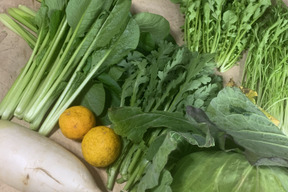 ギフトにも！小さな農家、旬のお野菜セット　6〜8品目熨斗対応可＜農薬、化学肥料不使用＞【朝どれ】【父の日ギフト】