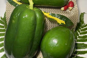 宮古島産　青パパイヤ　3kg.     大小　3 〜 6個