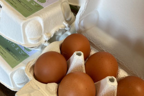 平飼いたまご6個×3パックとまよねーず180g×1本セット