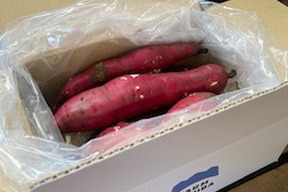 【福袋】【訳アリ・加工用】さつまいも(栗かぐや)  約4kg(13～25本)【数量限定】