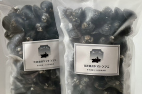 【土用シジミ】宍道湖産ヤマトシジミ・冷凍2kg（お任せサイズ）