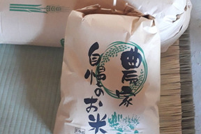 新米　白米　無洗米　10kg ヒノヒカリ　令和7年度産　熊本県産 hiroファーム