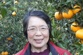 【🍊青島温州 3L 5kg 】大きいみかんです。食べ応えがあります。年明けは北の産地が本命！