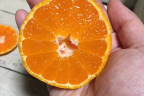 予約販売特別価格 Off 農薬使わず育てました 青島みかん10kg 神奈川県産 食べチョク 農家 漁師の産直ネット通販 旬の食材を生産者直送 予約販売特別価格 Off 農薬使わず育てました 青島みかん10kg 神奈川県産 食べチョク 農家 漁師の産直ネット通販 旬の食材を生産者直送