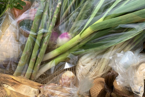 ミシュランシェフ御用達　オーガニックお野菜セット