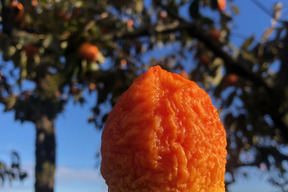 【ゲン担ぎ福袋】【超お得🉐ご自宅用、お手土産に】2026年、奇跡のあま干し柿Mサイズ10個入り、熨斗対応可！