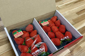 【いちごグランプリ金賞】埼玉県限定品種べにたま