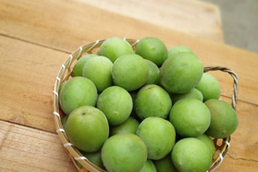 【予約販売限定５月末ごろ発送　小田原産　白加賀　青梅】 (10kg)梅シロップ、梅酒に最適！新鮮もぎたて直送！神奈川県は小田原辻村農園・山林より梅の販売　2024年天皇杯受賞の農園・山林です！