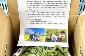 宮古島産 農薬不使用　【花福マンゴー】約2キロ入り