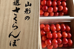 【 紅秀峰 】【 🍒早期予約🍒 】【 残2箱 】【 贈答用 】さくらんぼ 山形県産  1kg 【 木箱入り 】母の日ギフト 父の日ギフト 御中元