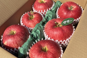 🍎希少品種🍎世界一約3キロ 6～7玉入り 青森 りんご ID168643 リンゴ フルーツ 青森 果物 レア 大きい ギフト 世界一
