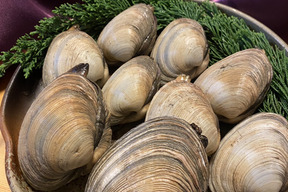 【夏ギフト】日間賀島産 大アサリ（ウチムラサキ）1.2kg｜約16口 ｜下処理・ボイル済みで簡単調理！愛知の海の幸ギフトにも◎BBQにも
夏休みの宴会でも！
