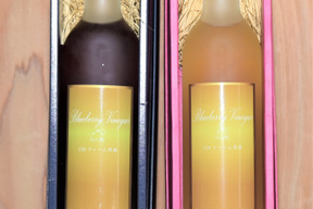 【父の日ギフト】【環境と健康にやさしい・無添加】ブルーベリービネガー （500ml × ２色セット）【その日の気分でおやすみ前にコップ１杯50日分】