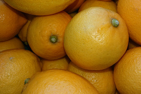 【令和8年大雪や雹によるレモン・柑橘被害支援プログラム300円寄付】【静岡県産】ワックス・防腐剤不使用 日本平ソーラーレモン®約２キロ