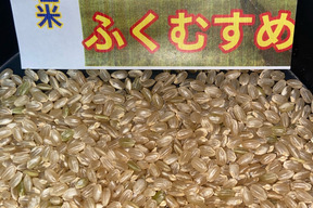【ゲン担ぎ福袋】令和７年9月に刈り取りました。
新米☆☆ミルキークイーンの改良品種で
低アミロース米　ふくむすめ　(大粒)☆
酵素散布米
ふくむすめ 玄米5キロ　 精米無量