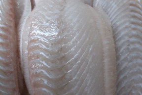 美味しさ増大！熟成ヒラメ