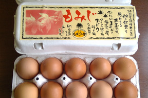 10個入れパック入り国産鶏種もみじの新鮮たまご27個(30個入り3個割れ保障、10個入れ3パック）